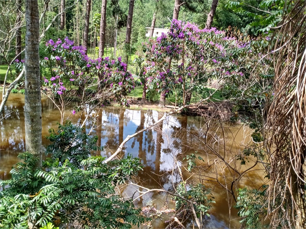 Venda Sítio Cotia Jardim São Luiz (caucaia Do Alto) REO556620 8