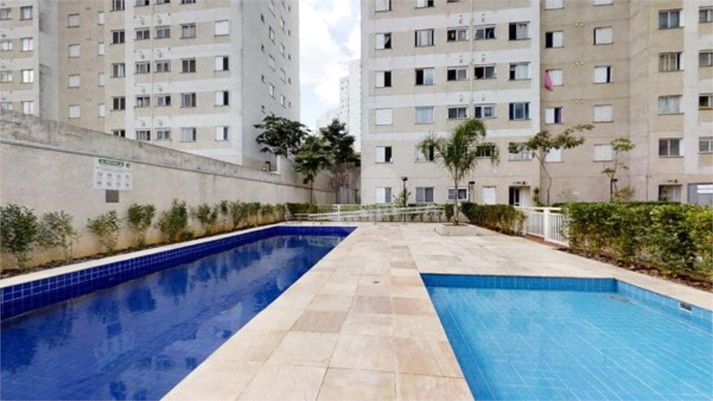 Venda Apartamento São Paulo Quinta Da Paineira REO556706 1