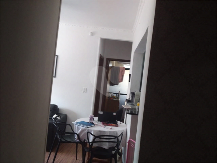 Foto REO556928