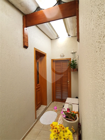 Foto REO557055