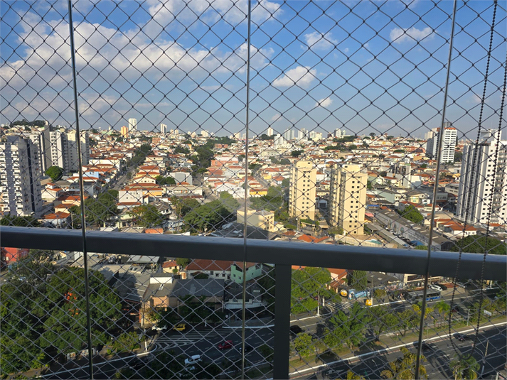 Foto REO557260