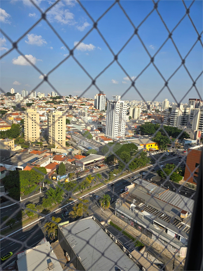 Foto REO557260