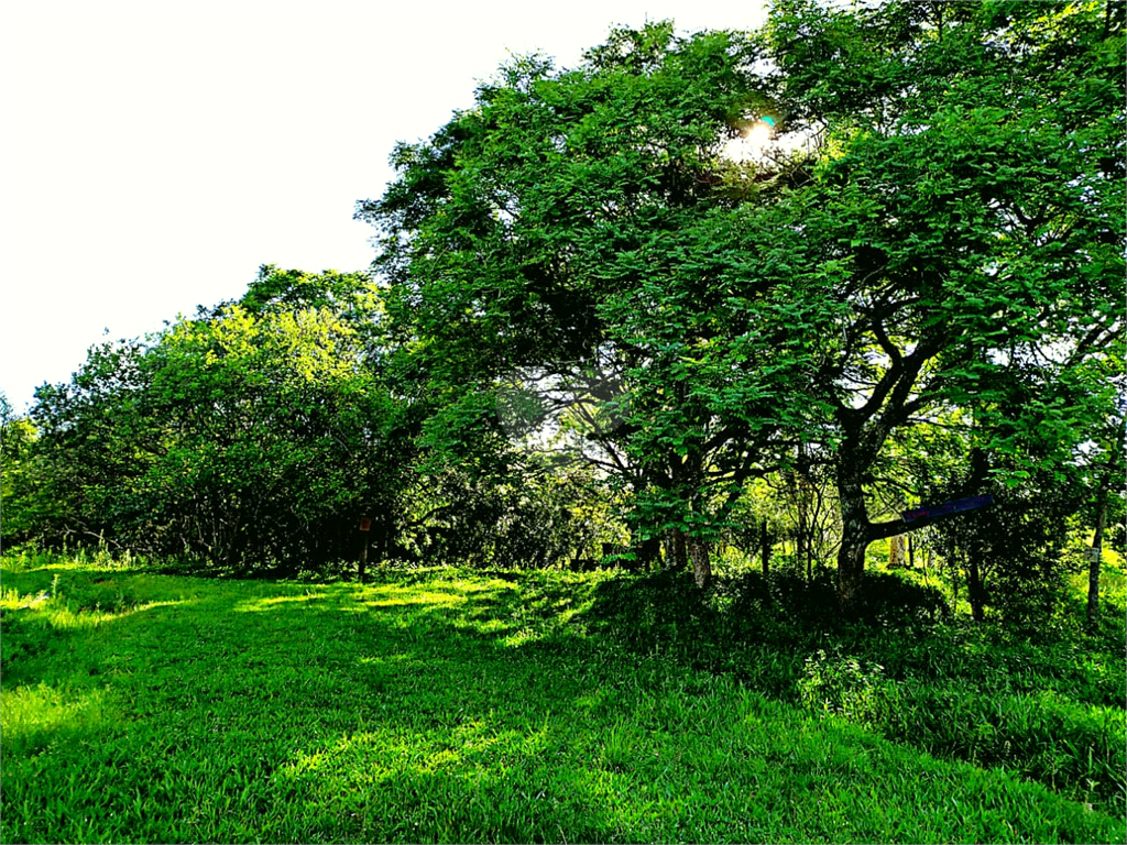 Venda Terreno Eldorado Do Sul Parque Eldorado REO557604 4