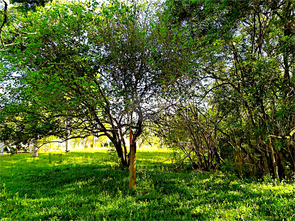 Venda Terreno Eldorado Do Sul Parque Eldorado REO557604 11