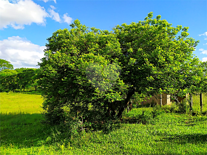 Venda Terreno Eldorado Do Sul Parque Eldorado REO557604 9