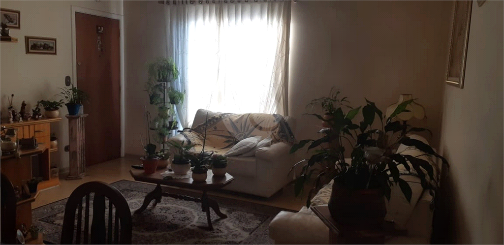 Venda Apartamento São Paulo Belenzinho REO557644 3