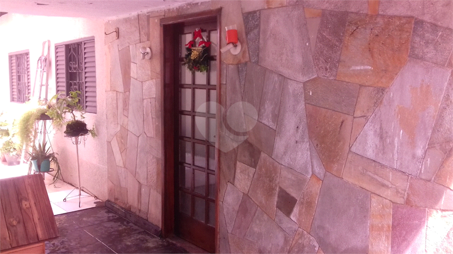 Foto REO557843