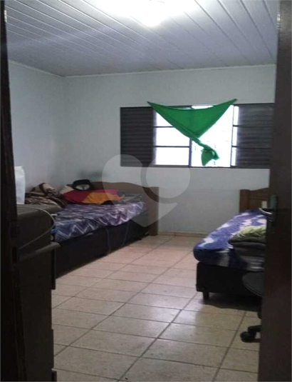 Foto REO557843