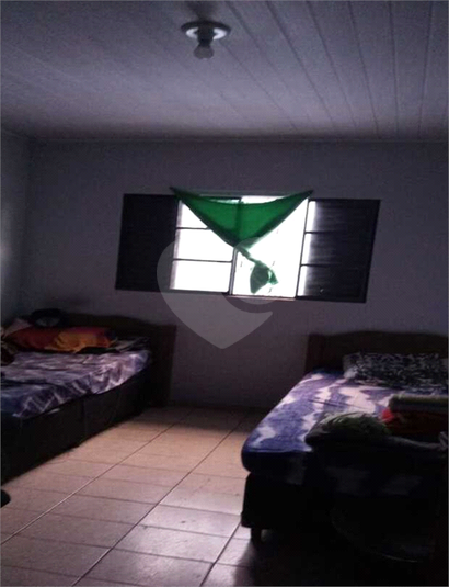 Foto REO557843