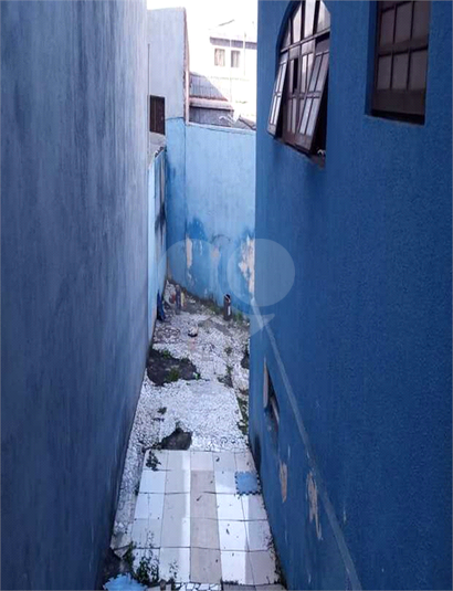 Foto REO557843