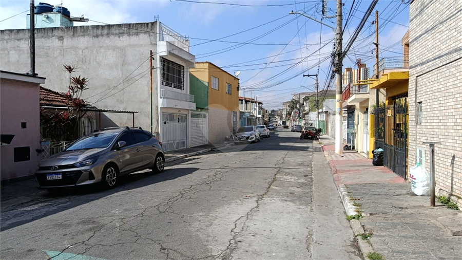 Foto REO557843