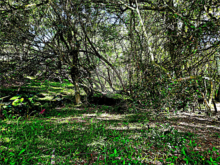 Venda Terreno Eldorado Do Sul Parque Eldorado REO557972 7