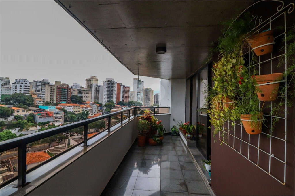 Aluguel Apartamento São Paulo Santa Cecília REO558073 7