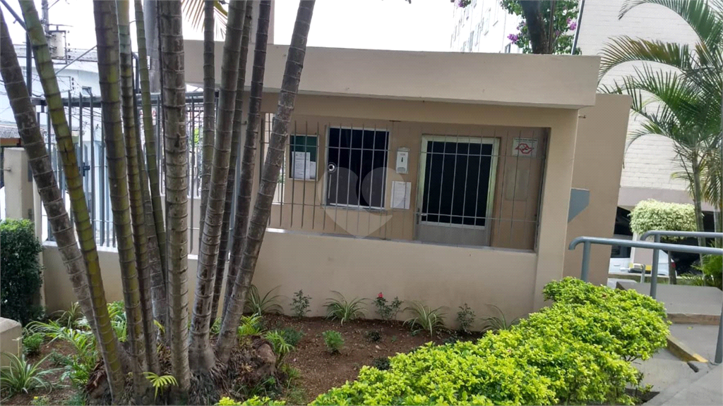 Venda Apartamento São Paulo Vila Iório REO558382 2