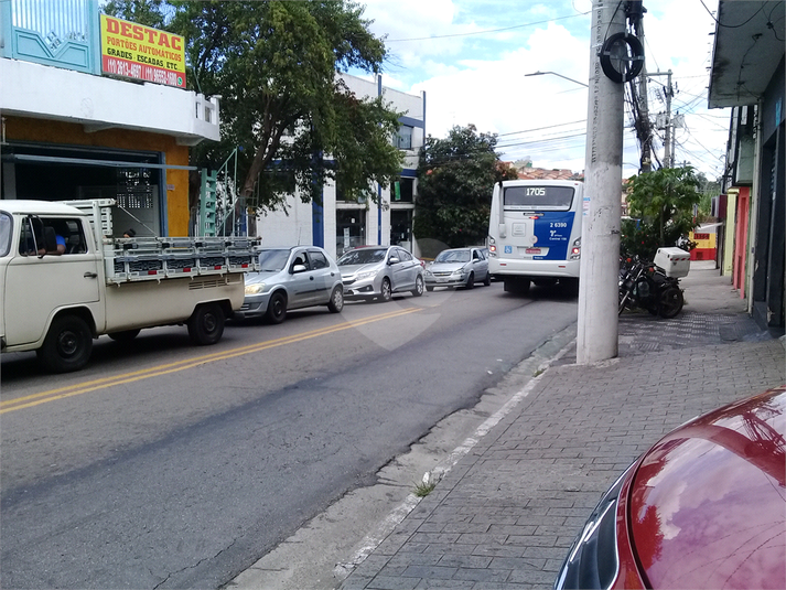 Foto REO558460