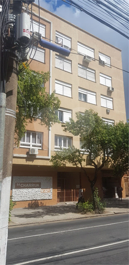 Foto REO558626