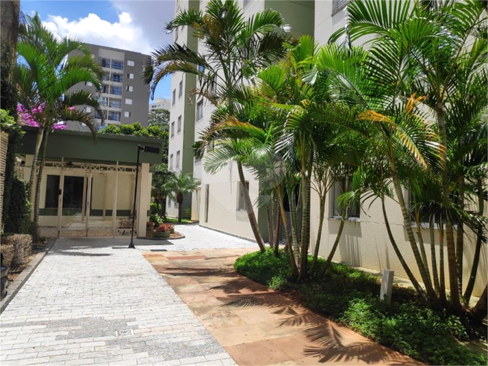 Venda Apartamento São Paulo Vila Cruz Das Almas REO559011 17