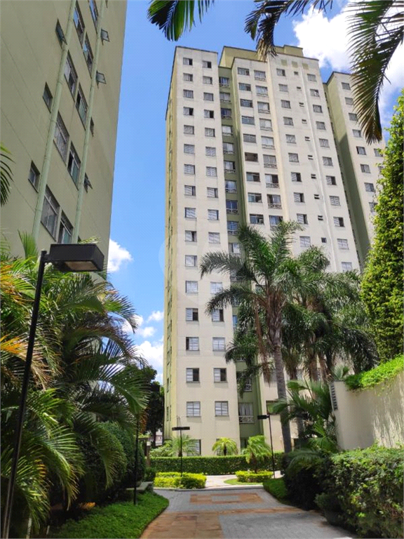 Venda Apartamento São Paulo Vila Cruz Das Almas REO559011 14