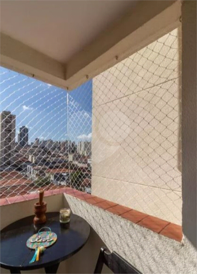 Foto REO559324