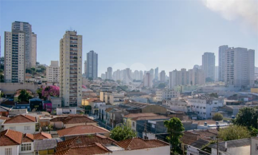 Foto REO559324
