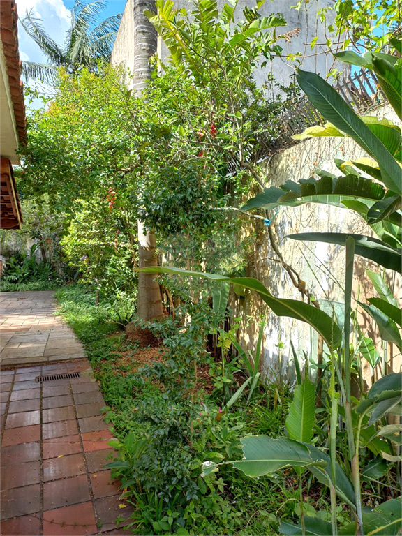 Venda Casa São Paulo Vila Irmãos Arnoni REO559487 22