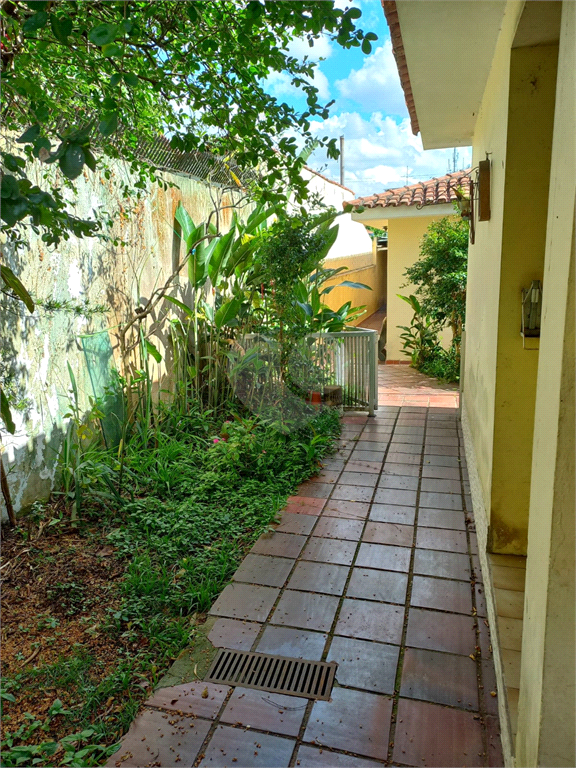 Venda Casa São Paulo Vila Irmãos Arnoni REO559487 23