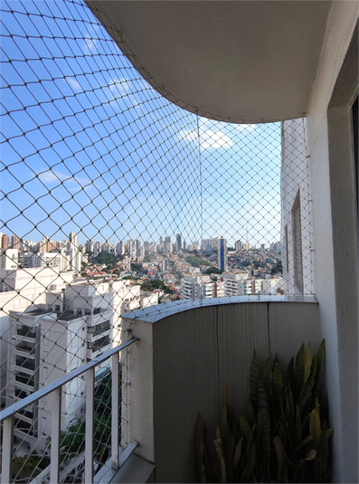 Foto REO559585