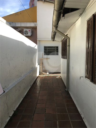 Foto REO559595