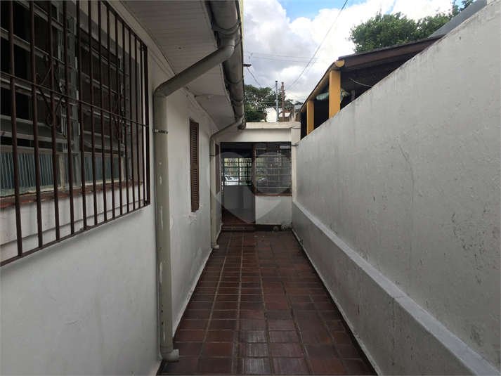 Foto REO559595