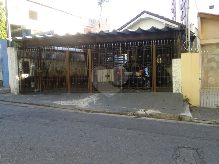Foto REO559595