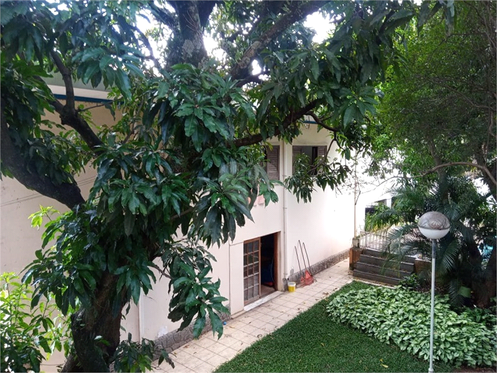 Venda Casa São Paulo Vila Ipojuca REO559698 28