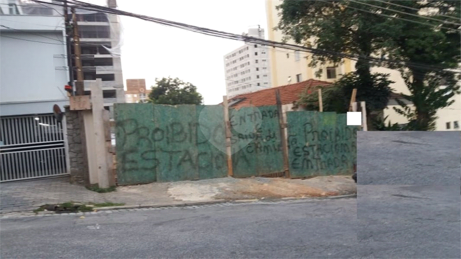Foto REO559793