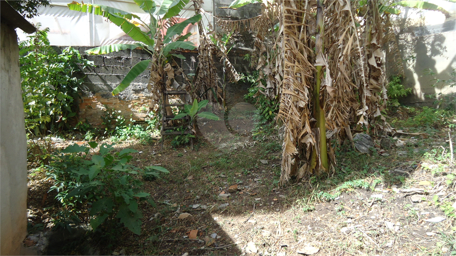 Venda Terreno São Paulo Parque Mandaqui REO560036 11