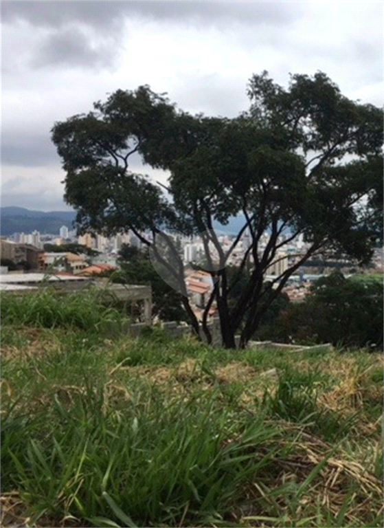 Venda Terreno Jundiaí Jardim Da Fonte REO560099 6