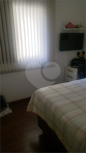 Foto REO560231