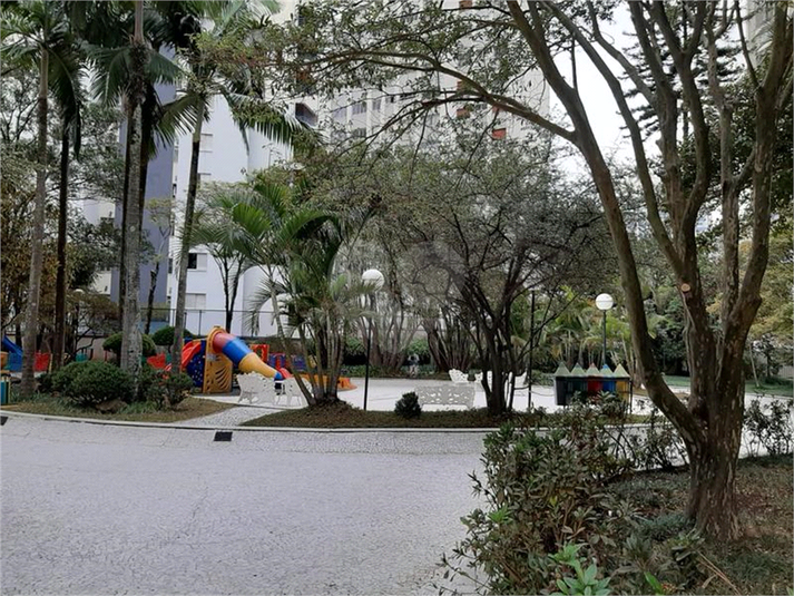 Foto REO560550
