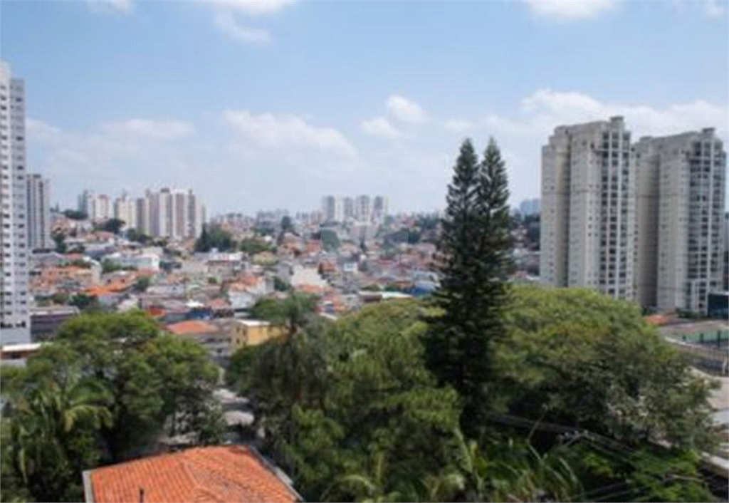 Venda Apartamento São Paulo Vila Santa Catarina REO560623 6