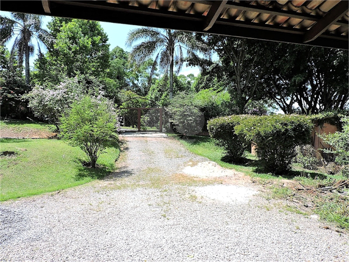 Foto REO561762