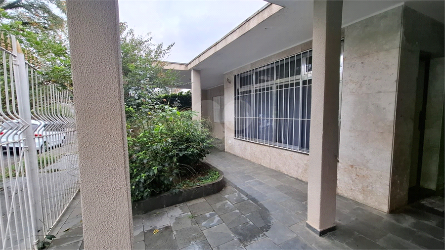 Foto REO561933