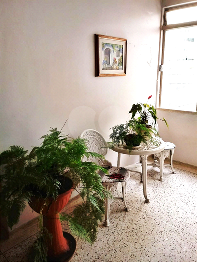 Foto REO561962