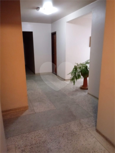 Foto REO561962