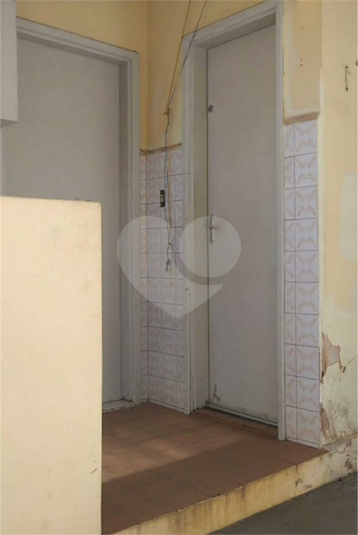 Foto REO562044