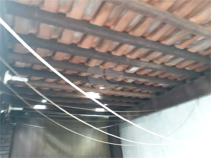 Foto REO562068