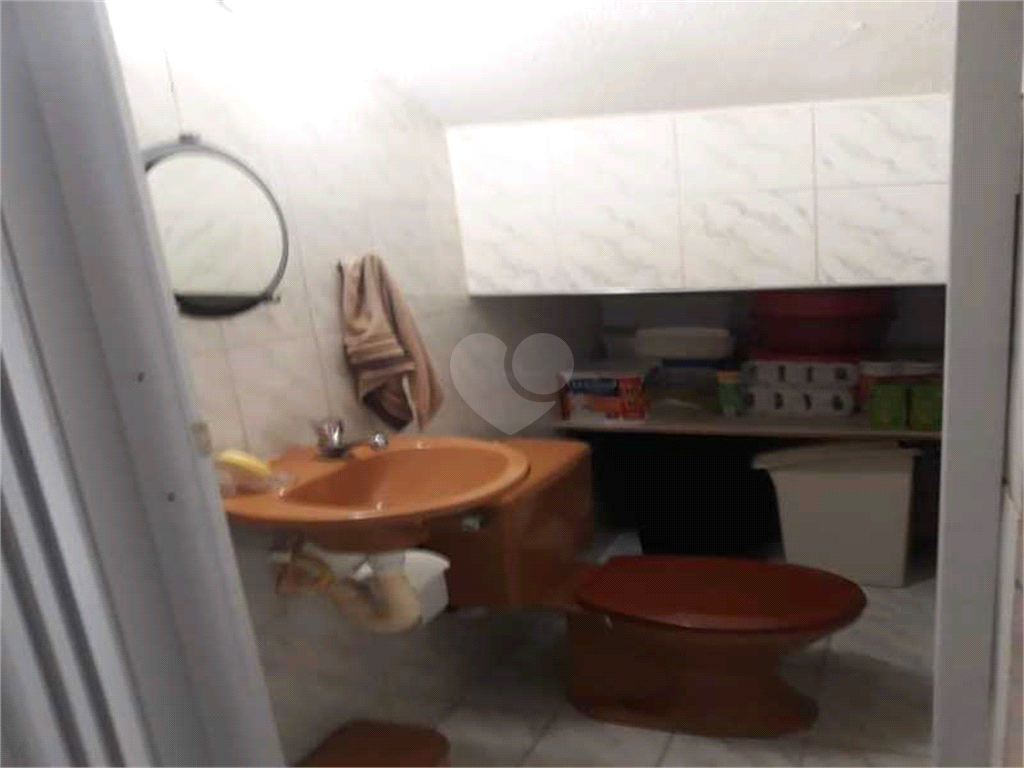 Foto REO562068