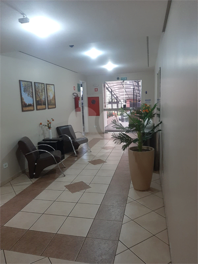 Foto REO562156