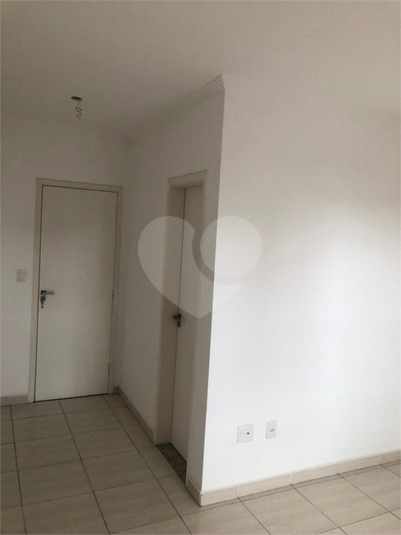 Foto REO562161