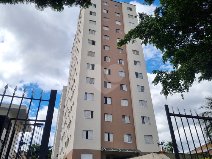 Foto REO562526