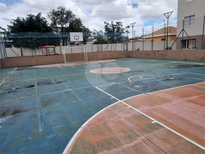 Foto REO562526
