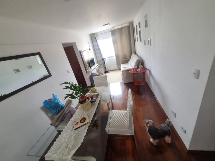Foto REO562526
