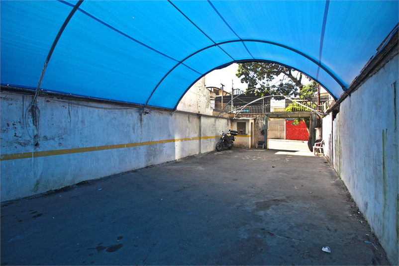 Foto REO562558